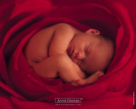 bébé dans un coeur de rose    j'adore !!
